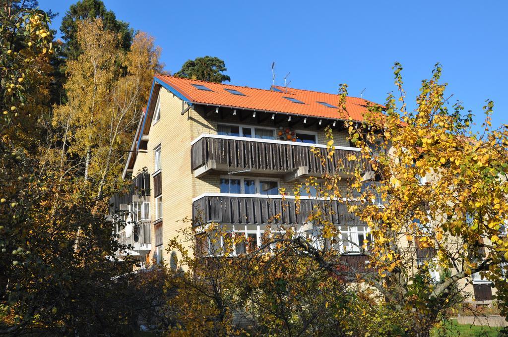 Appartement Austeja à Juodkrantė Extérieur photo